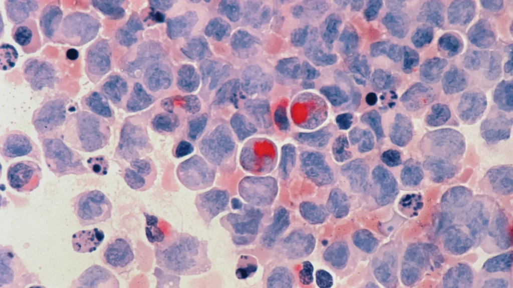 Backgroudnb Cover Image of Cell Therapy Technology Market by Quadrant Market Insights